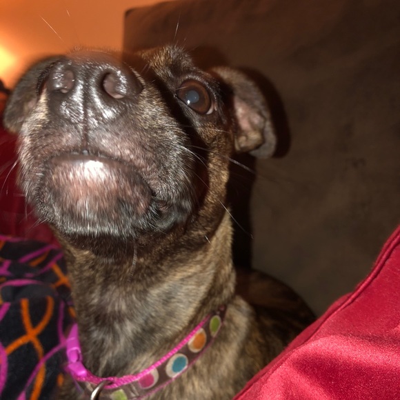 Meet your Posher, Linda - Picture 1 of 1